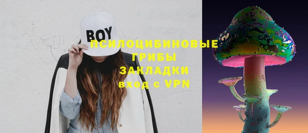 хмурый Краснослободск