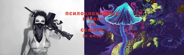 хмурый Краснослободск